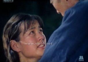 电视剧小花演员表,重温经典，重温那些年我们一起追过的电视剧