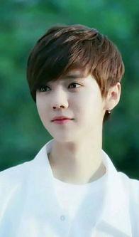 康南家庭背景,出身名门，砥砺前行，谱写家族辉煌篇章