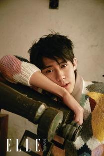 台湾娱乐圈小鲜肉,青春风采与人气飙升