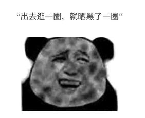 晒照表情包,趣味横生的瞬间捕捉