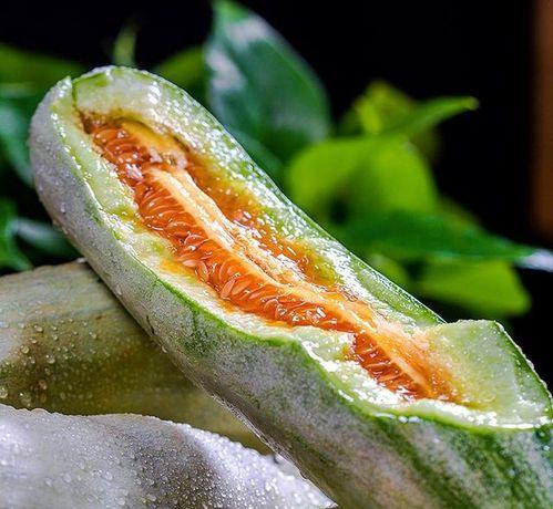 网红有哪些种类,揭秘不同类型网红的崛起之路